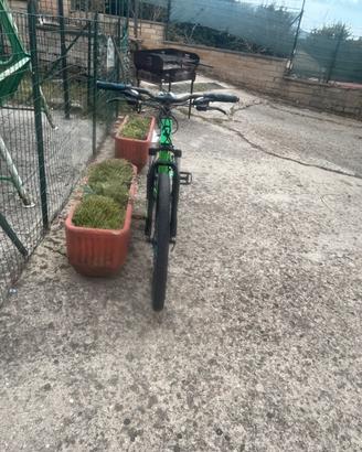 Bici atala replay uomo 27.5