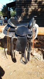 Sella Western 16