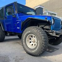 Jeep Wrangler 4.0 cat Sport