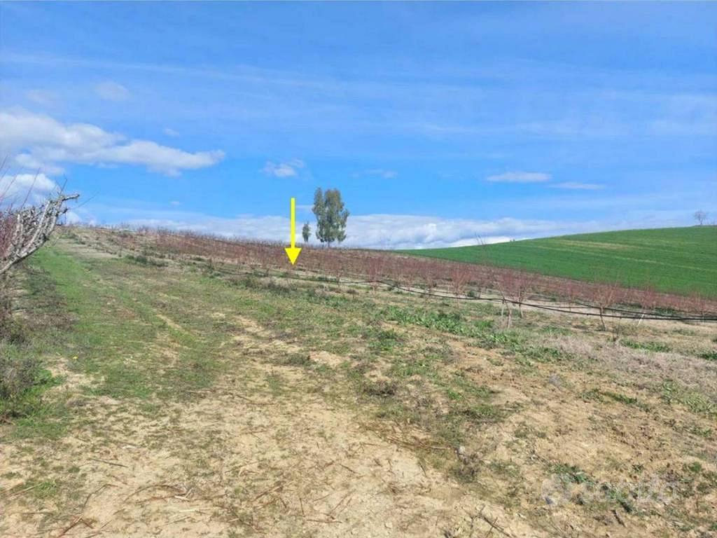 Immobile in asta di 3040 m² a Altomonte - Vista 2