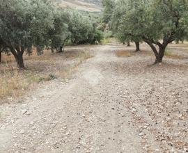 TER. AGRICOLO A CROPANI