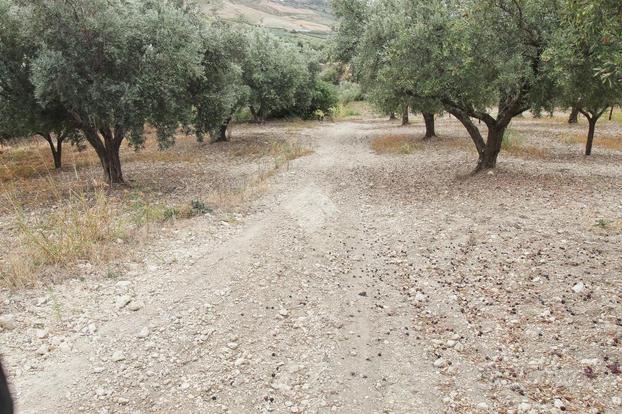 TER. AGRICOLO A CROPANI