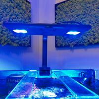 Plafoniera Acquario Marino HM Electronic Core XP