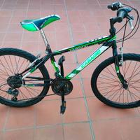 MTB 24 marca Casadei