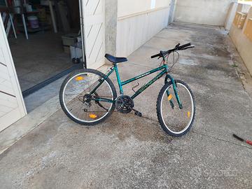 biciclette varie 