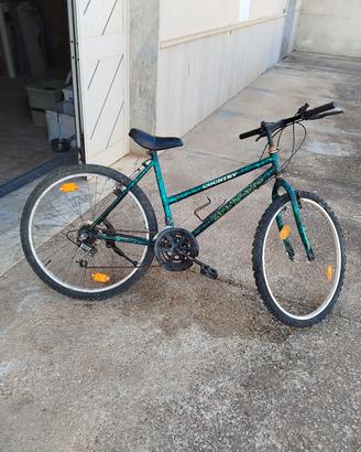 biciclette varie 