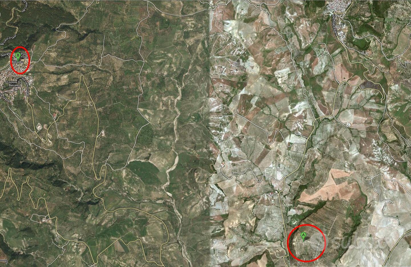 Uliveto Comune Belcastro (Foresta) - Vista 3