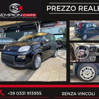 FIAT Panda Pandina 1.0 hybrid PDC/COCKPIT/Cruise P