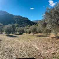Corongiu (Carbonia-Iglesias) - Terreno edificabile