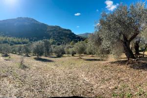 Corongiu (Carbonia-Iglesias) - Terreno edificabile