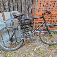 bicicletta uomo
