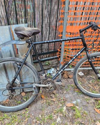 bicicletta uomo