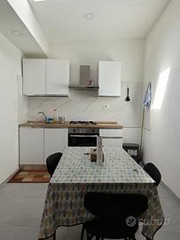 Trilocale di recente ristrutturazione