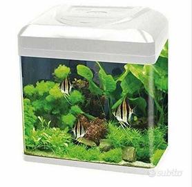 acquario cubo Billy 16 completo di acessori