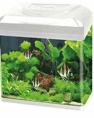 acquario cubo Billy 16 completo di acessori