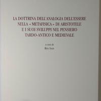 Salis, La dottrina dell’analogia dell’essere