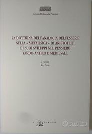 Salis, La dottrina dell’analogia dell’essere