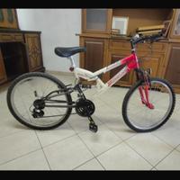 Bicicletta ragazzo 8-12 anni