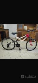 Bicicletta ragazzo 8-12 anni