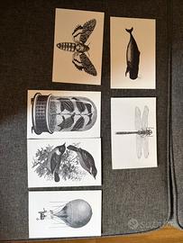 Cartoline vintage