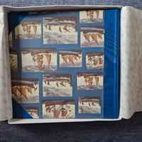 Album fotografico Bandinelli vintage - nuovo