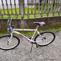 bicicletta mtb Frejus 