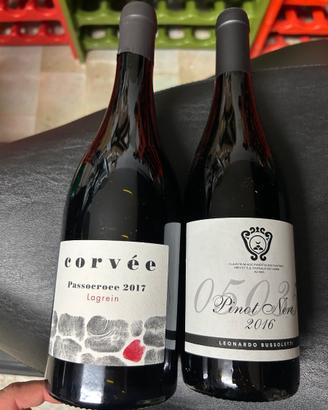 Coppia di vini rossi Italia