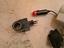 Immagine 6
