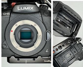 Lumix GH5 - con gabbia e 2 obbiettivi