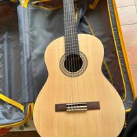 Chitarra acustica