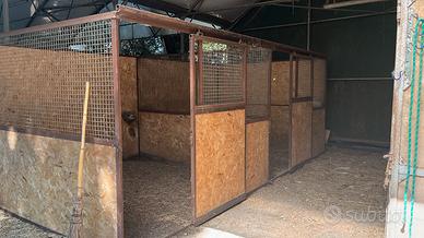 box per cavalli