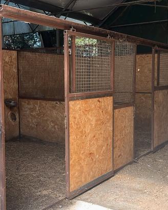 box per cavalli