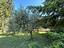 Immagine 16