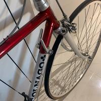 Bici da corsa