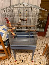 Gabbia con carrello imec per pappagalli