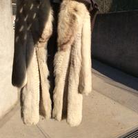 pelliccia di volpe bianca