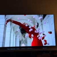 Televisore LG OLED 65 pollici