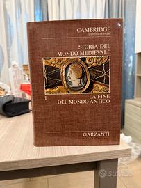 Storia del mondo medievale 1 capitolo