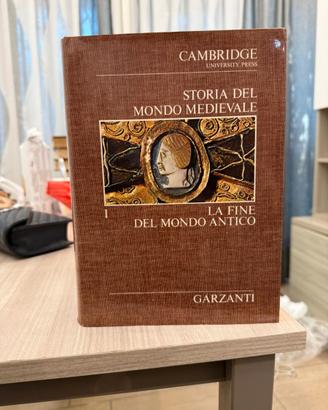 Storia del mondo medievale 1 capitolo