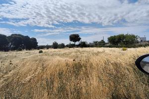 Terremo non edificabile
