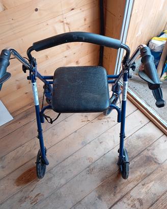 girello per disabili 