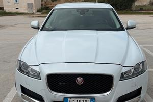 Jaguar XF 2.0 Diesel (163 CV) Full Optional