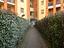 Immagine 9