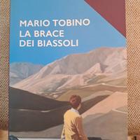 La brace dei Biassoli