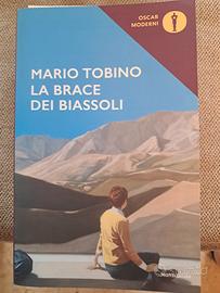 La brace dei Biassoli