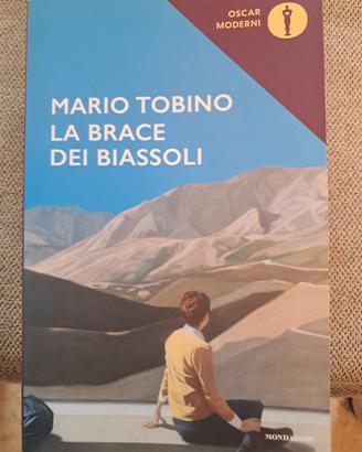 La brace dei Biassoli