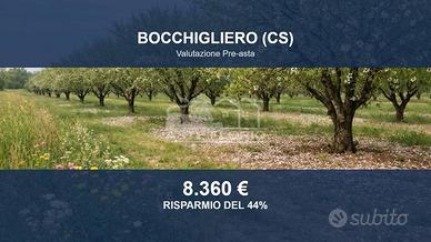 Immobile in asta di 9300 m² a Bocchigliero