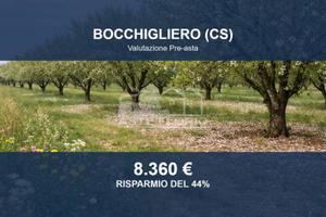 Immobile in asta di 9300 m² a Bocchigliero