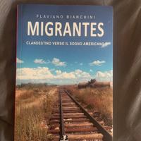 Migrantes-Clandestino verso il sogno americano