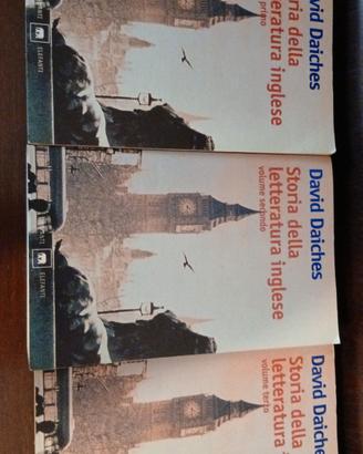 Libro David Daiches Storia della letteratura ingle